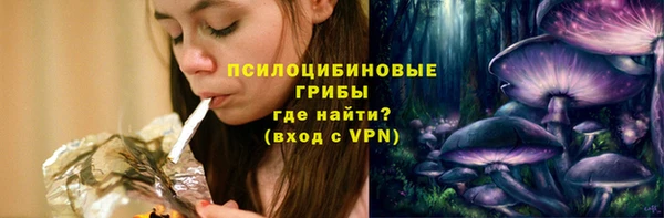 мяу мяу мука Горно-Алтайск