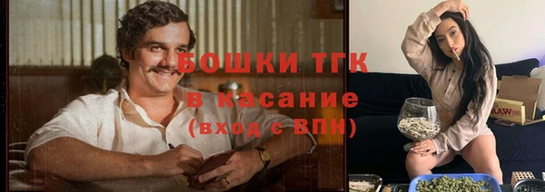 дживик Гусь-Хрустальный