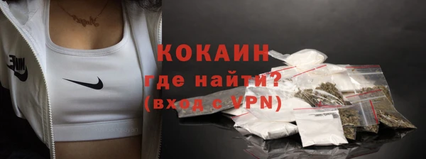 мяу мяу мука Горно-Алтайск