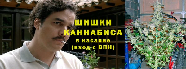 мяу мяу мука Горно-Алтайск