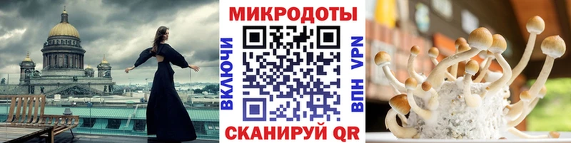 Галлюциногенные грибы Psilocybe  Дегтярск 