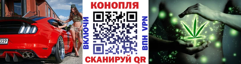 Бошки марихуана план Дегтярск
